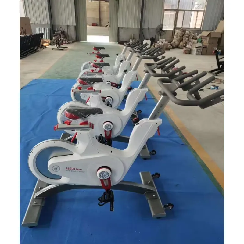 Bicicleta de Spinning Profesio - Home Gym Resistance reseña y precio