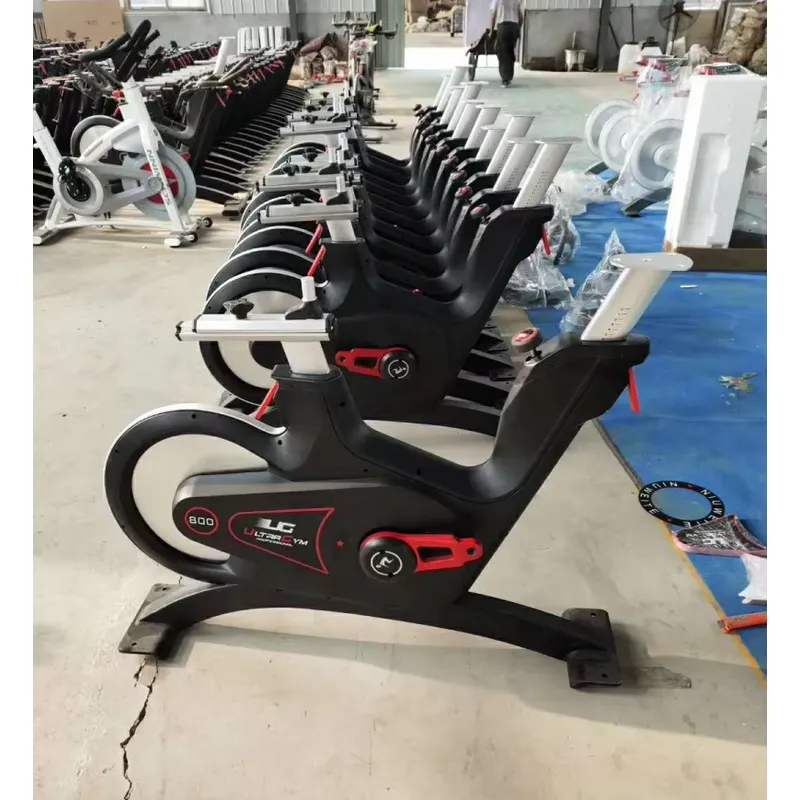 Bicicleta de Spinning Profesio - Home Gym Resistance reseña y precio