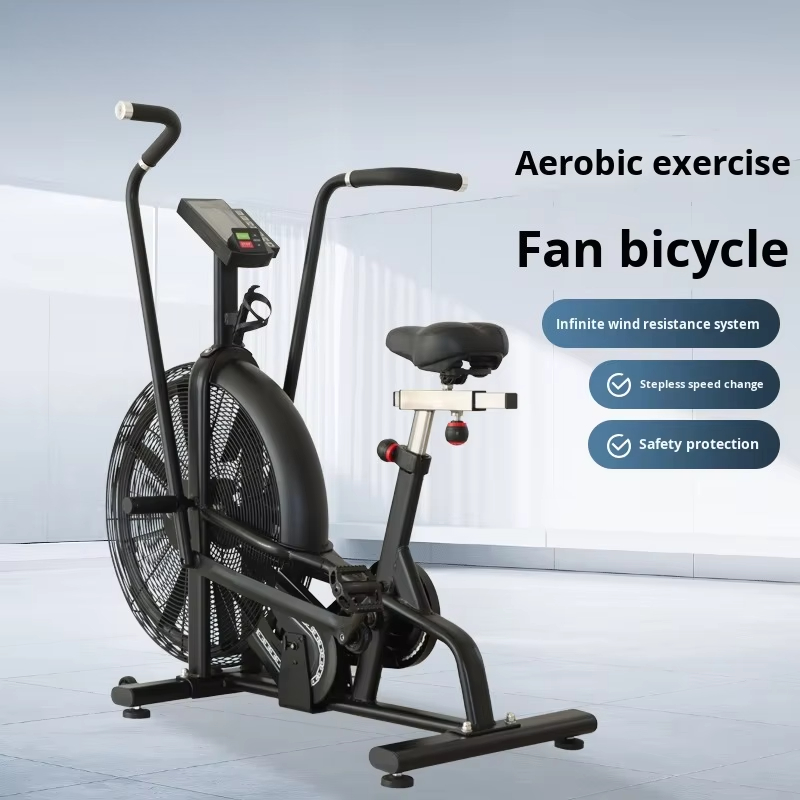 Bicicleta de Ejercicio Aeróbic - Home Gym Resistance reseña y precio